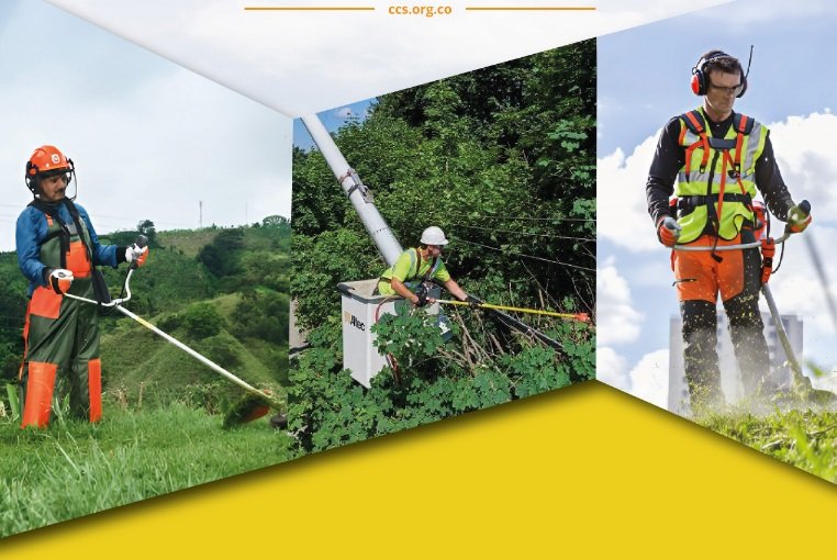 Mantenimiento de Zonas Verdes